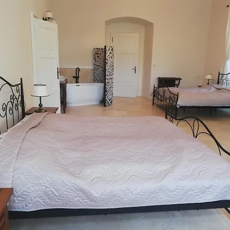 Zamek Guest house Rozsochatec